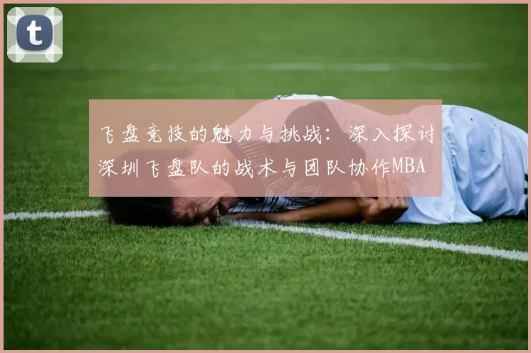 飞盘竞技的魅力与挑战：深入探讨深圳飞盘队的战术与团队协作MBA