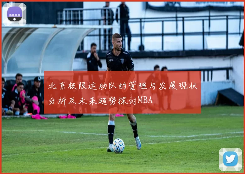 北京极限运动队的管理与发展现状分析及未来趋势探讨MBA