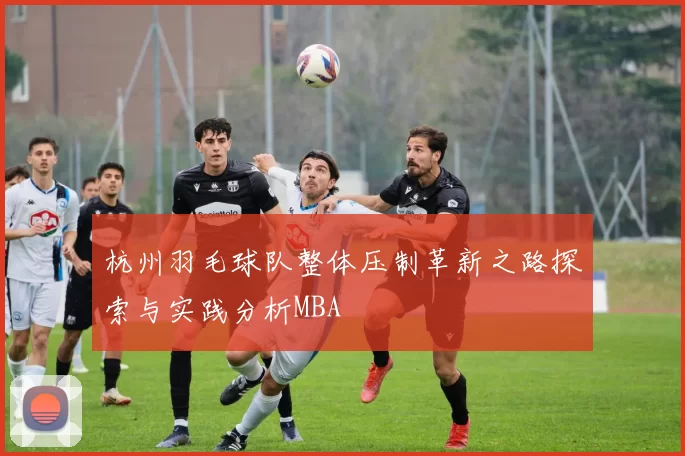 杭州羽毛球队整体压制革新之路探索与实践分析MBA