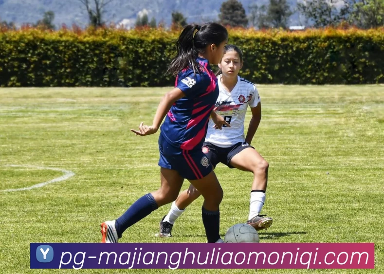 麻将糊了模拟器平台生态图