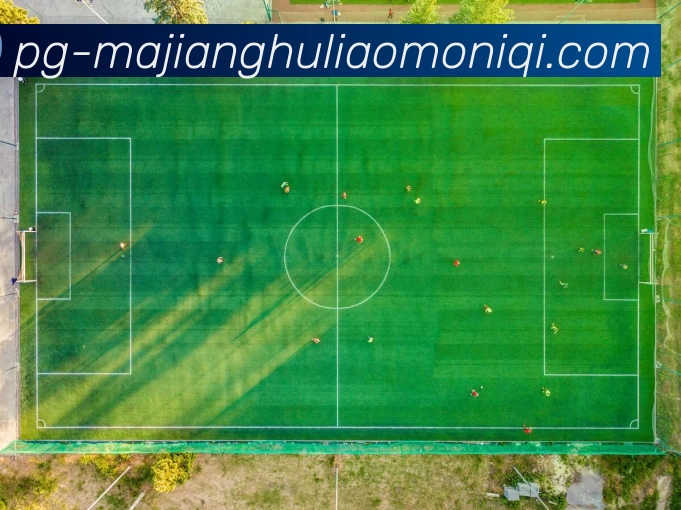 麻将糊了模拟器APP 封面图